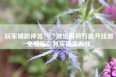 玩家辅助神器：“微乐麻将万能开挂器免费版”其实确实有挂