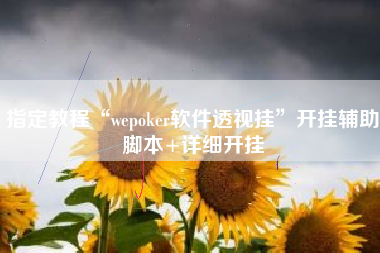 指定教程“wepoker软件透视挂”开挂辅助脚本+详细开挂