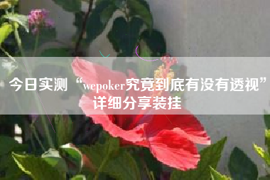 今日实测“wepoker究竟到底有没有透视”详细分享装挂