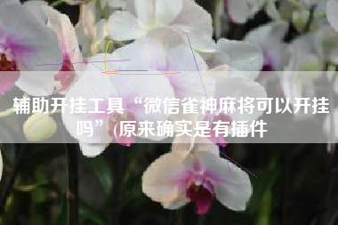 辅助开挂工具“微信雀神麻将可以开挂吗”(原来确实是有插件