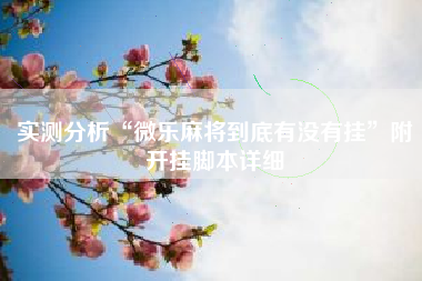 实测分析“微乐麻将到底有没有挂”附开挂脚本详细