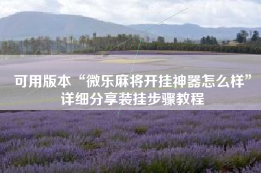 可用版本“微乐麻将开挂神器怎么样”详细分享装挂步骤教程