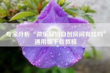 专家分析“微乐麻将自创房间有挂吗”通用版下载教程