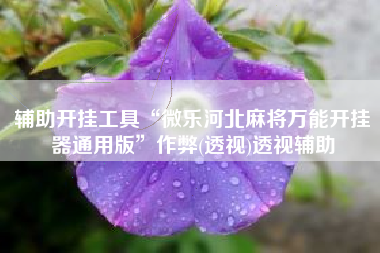 辅助开挂工具“微乐河北麻将万能开挂器通用版	”作弊(透视)透视辅助