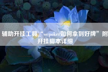 辅助开挂工具“wepoker如何拿到好牌”附开挂脚本详细