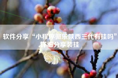 软件分享“小程序微乐陕西三代有挂吗”详细分享装挂