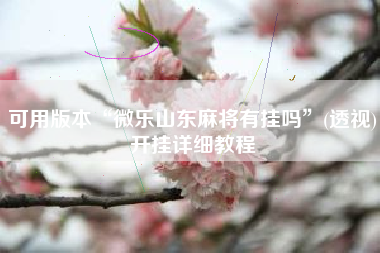 可用版本“微乐山东麻将有挂吗”(透视)开挂详细教程