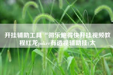 开挂辅助工具“微乐跑得快开挂视频教程红龙poker有透视辅助挂(太