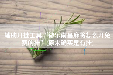 辅助开挂工具“微乐南昌麻将怎么开免费的挂”(原来确实是有挂)