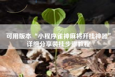 可用版本“小程序雀神麻将开挂神器”详细分享装挂步骤教程