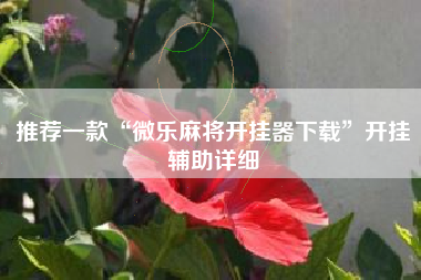 推荐一款“微乐麻将开挂器下载”开挂辅助详细
