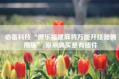 必备科技“微乐福建麻将万能开挂器通用版”(原来确实是有插件