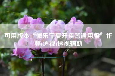 可用版本“微乐宁夏开挂器通用版”作弊(透视)透视辅助