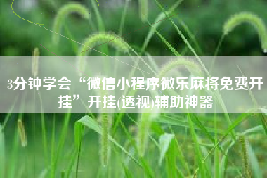 3分钟学会“微信小程序微乐麻将免费开挂”开挂(透视)辅助神器