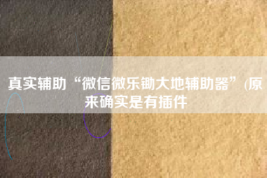 真实辅助“微信微乐锄大地辅助器”(原来确实是有插件