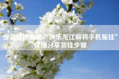 安装程序教程“微乐龙江麻将手机版挂	”详细分享装挂步骤