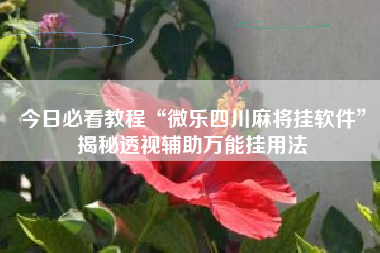 今日必看教程“微乐四川麻将挂软件”揭秘透视辅助万能挂用法