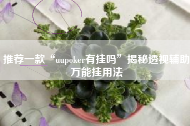 推荐一款“uupoker有挂吗”揭秘透视辅助万能挂用法