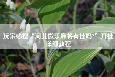 玩家必搜“河北微乐麻将有挂吗?	”开挂详细教程