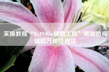 实操教程“WePOKer辅助工具	”揭秘透视辅助万能挂用法
