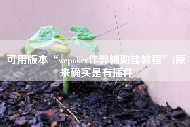 可用版本“wepoker作弊辅助挂教程”(原来确实是有插件