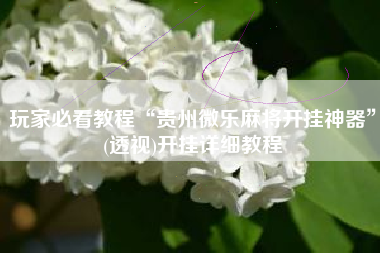 玩家必看教程“贵州微乐麻将开挂神器”(透视)开挂详细教程