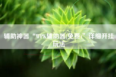 辅助神器“WPK辅助器(免费)	”详细开挂玩法