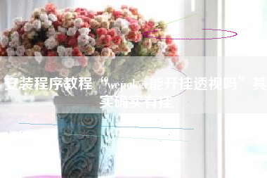 安装程序教程“wepoker能开挂透视吗	”其实确实有挂
