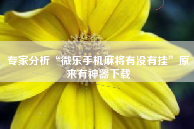 专家分析“微乐手机麻将有没有挂”原来有神器下载