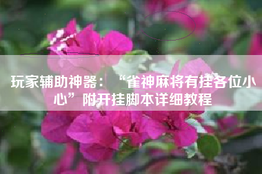 玩家辅助神器：“雀神麻将有挂各位小心”附开挂脚本详细教程