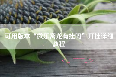 可用版本“微乐窝龙有挂吗	”开挂详细教程
