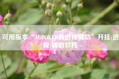 可用版本“AGPOKER有透视辅助”开挂(透视)辅助教程