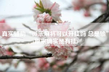 真实辅助“微乐麻将可以开挂吗 总是输	”(原来确实是有挂)