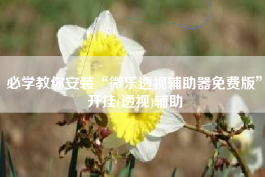 必学教你安装“微乐透视辅助器免费版”开挂(透视)辅助