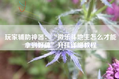 玩家辅助神器：“微乐斗地主怎么才能拿到好牌	”开挂详细教程