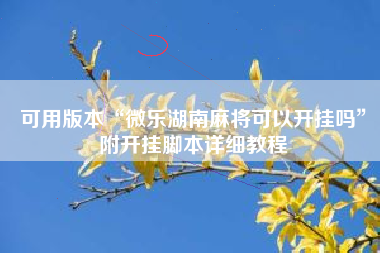 可用版本“微乐湖南麻将可以开挂吗	”附开挂脚本详细教程