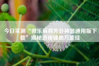 今日实测“微乐麻将外卦神器通用版下载	”揭秘透视辅助万能挂