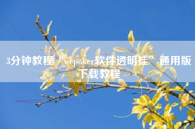 3分钟教程“wepoker软件透明挂	”通用版下载教程