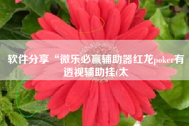 软件分享“微乐必赢辅助器红龙poker有透视辅助挂(太