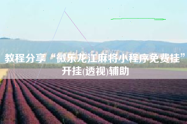 教程分享“微乐龙江麻将小程序免费挂”开挂(透视)辅助