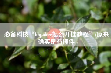必备科技“hhpoker怎么开挂教程	”(原来确实是有插件