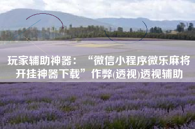 玩家辅助神器：“微信小程序微乐麻将开挂神器下载”作弊(透视)透视辅助