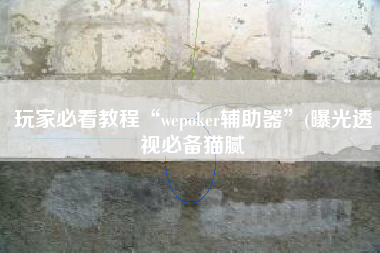 玩家必看教程“wepoker辅助器	”(曝光透视必备猫腻