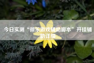 今日实测“微乐游戏辅助脚本”开挂辅助详细