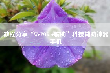 教程分享“WePOKer辅助”科技辅助神器手机