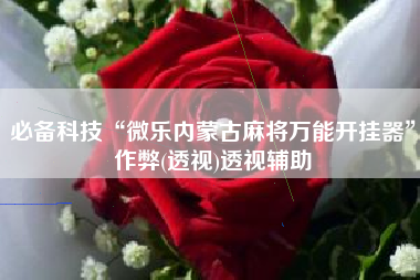 必备科技“微乐内蒙古麻将万能开挂器”作弊(透视)透视辅助