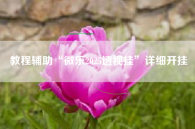 教程辅助“微乐2025透视挂”详细开挂