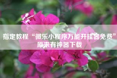 指定教程“微乐小程序万能开挂器免费”原来有神器下载