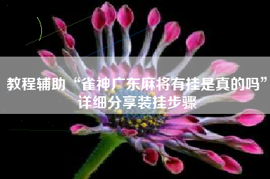 教程辅助“雀神广东麻将有挂是真的吗”详细分享装挂步骤