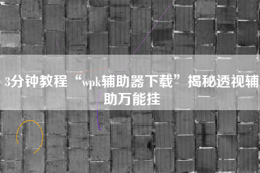 3分钟教程“wpk辅助器下载”揭秘透视辅助万能挂